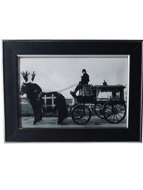 Vintage Funeral victorian Horse Horses carriage Hearse Gothic dark Photograph